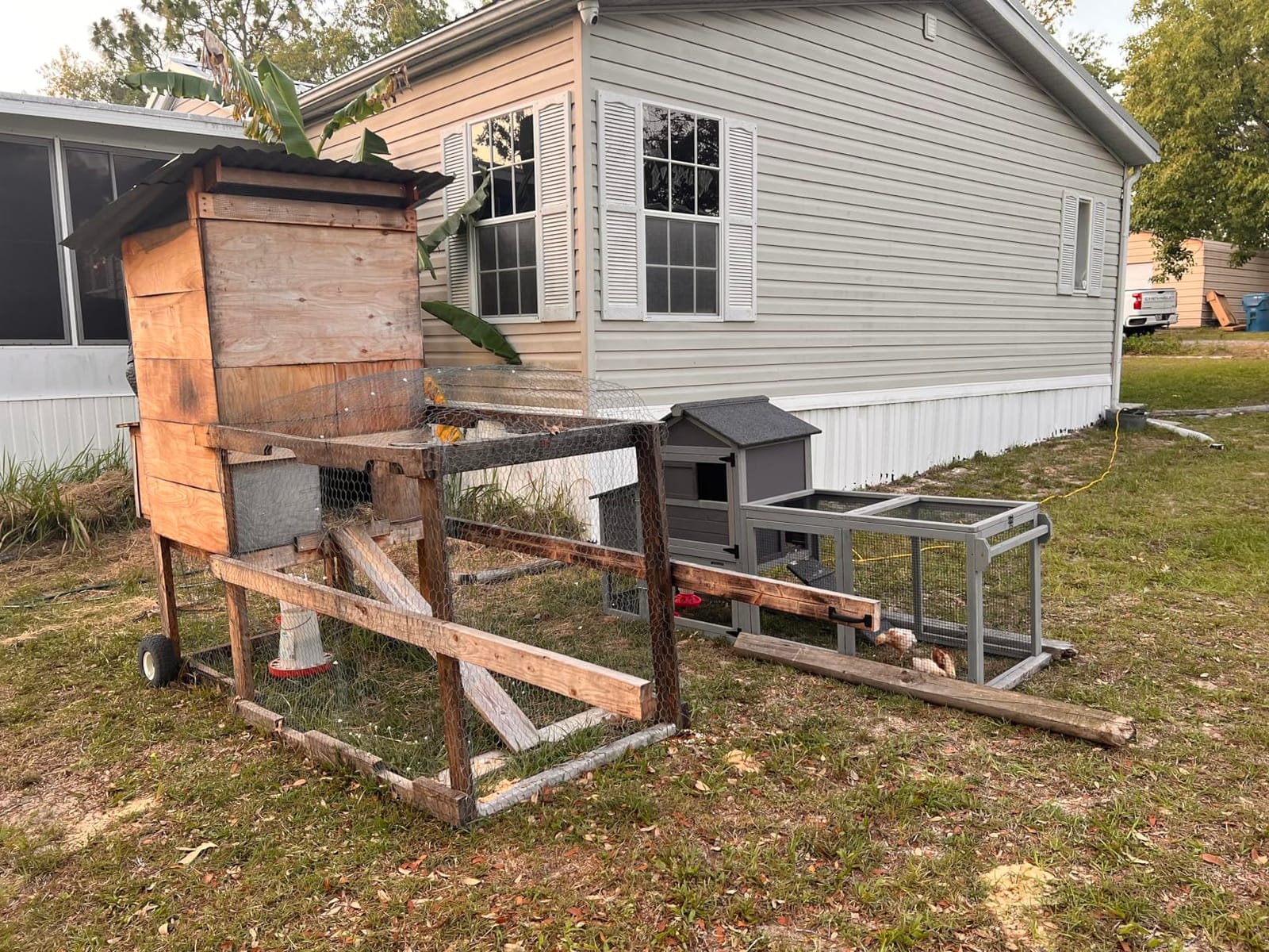 Mobile Chicken Coop for 6-8 Hens, All-Steel Frame Hen House with Wheels Portable Poultry Cage, Metal Run & Nesting Box Duck Coop Large customer photo 2