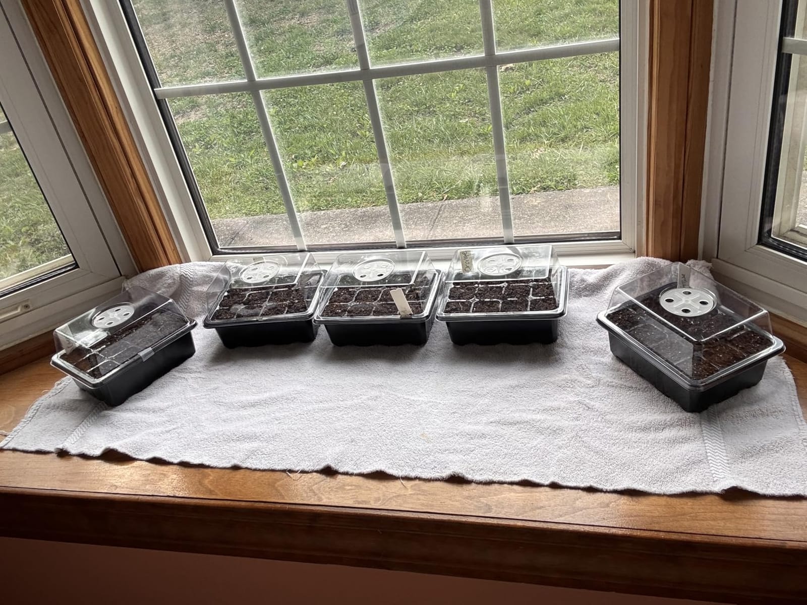 Bonviee 5-Pack Seed Starter Trays, Humidity Dome, Base, 12-Cell Tray, Green customer photo 1
