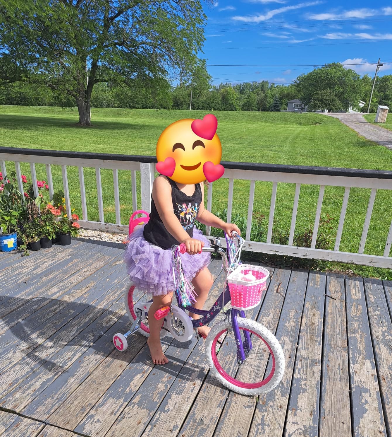 WEIZE Girls Kids Bike 14 16 18 Inch Children Bicycles with Training Wheels | Toddler 3-9 Years Old Streamers Basket Coaster Brake Bell Chain Cover Beginner Single Speed customer photo 2