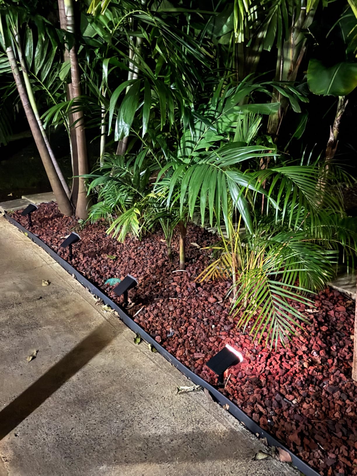 Linkind Smart Solar Spot Lights Outdoor SL5C, IP67 Solar Lights Outdoor | Cool/Warm White/Color Changing Spotlight, APP/Voice Control,Landscape Lighting for Yard, Garden, Pathway(2 Pack) customer photo 2