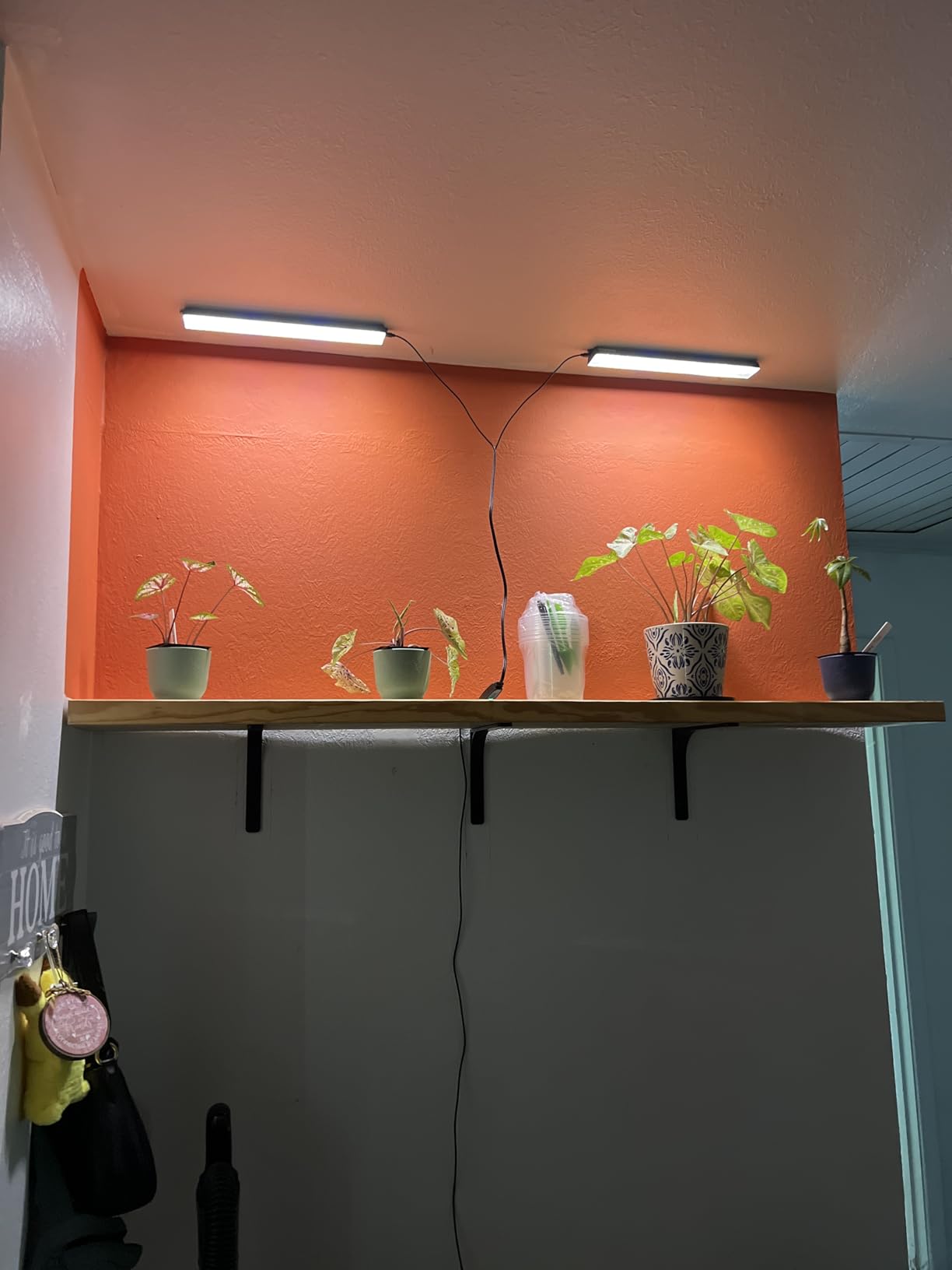 Wolezek 14in Grow Light Strip for Indoor Plants, Full Spectrum customer photo 1