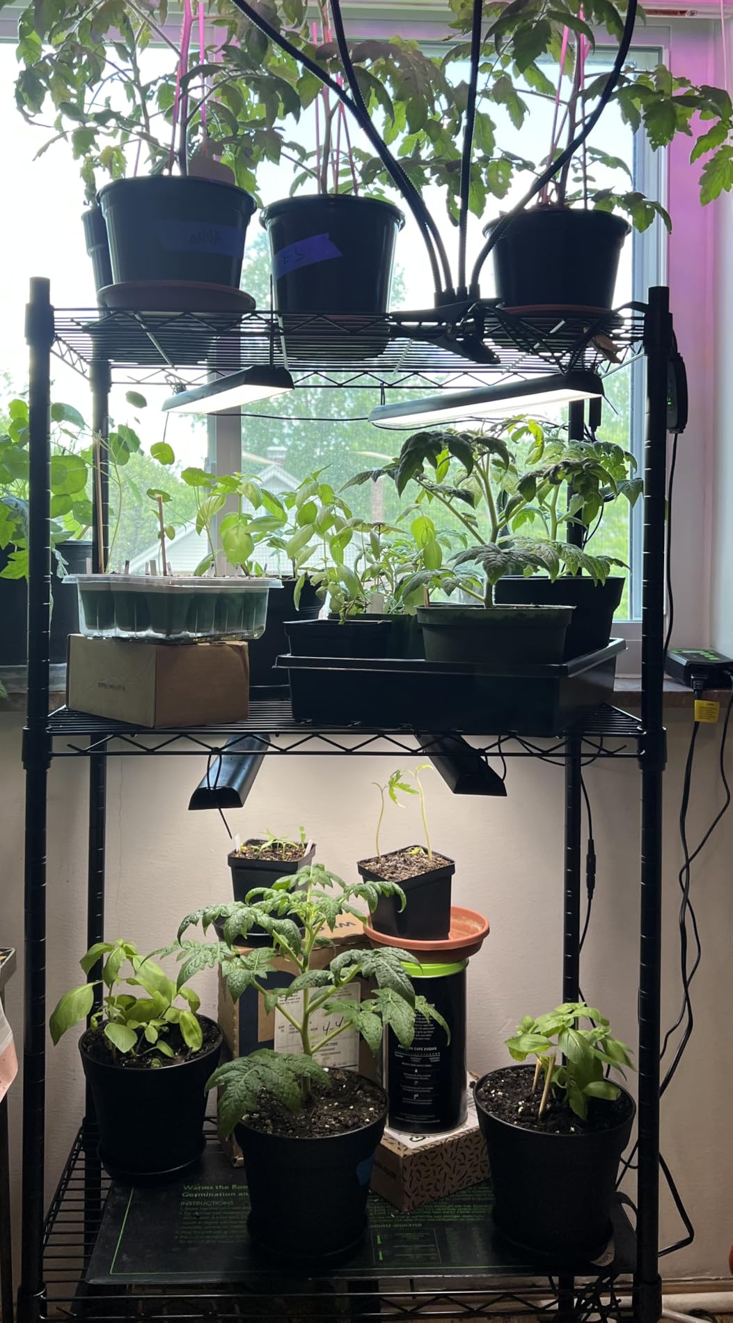 Wolezek 14in Grow Light Strip for Indoor Plants, Full Spectrum customer photo 2