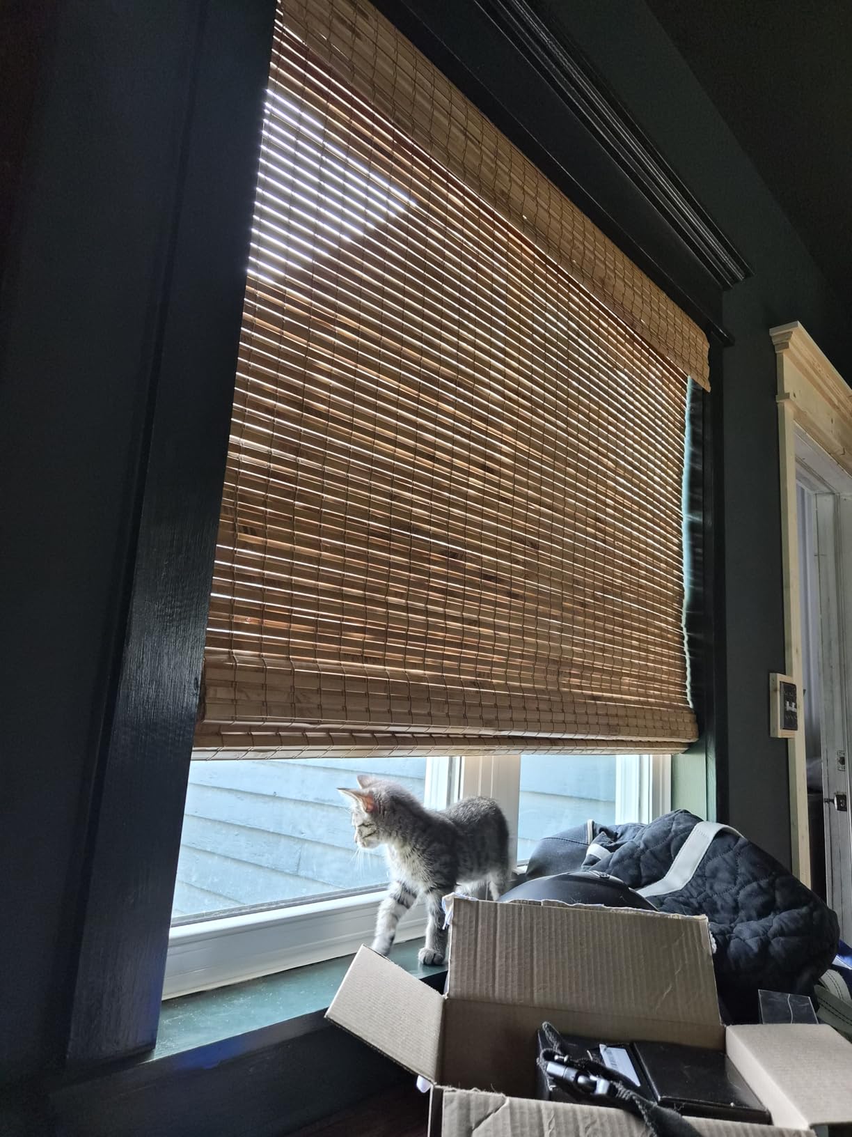 Cordless Woven Wood Roman Shades, Bamboo Shades Sizes 20 to 72 Wide and 24 to 72 High, Bamboo Mesh Natural customer photo 2