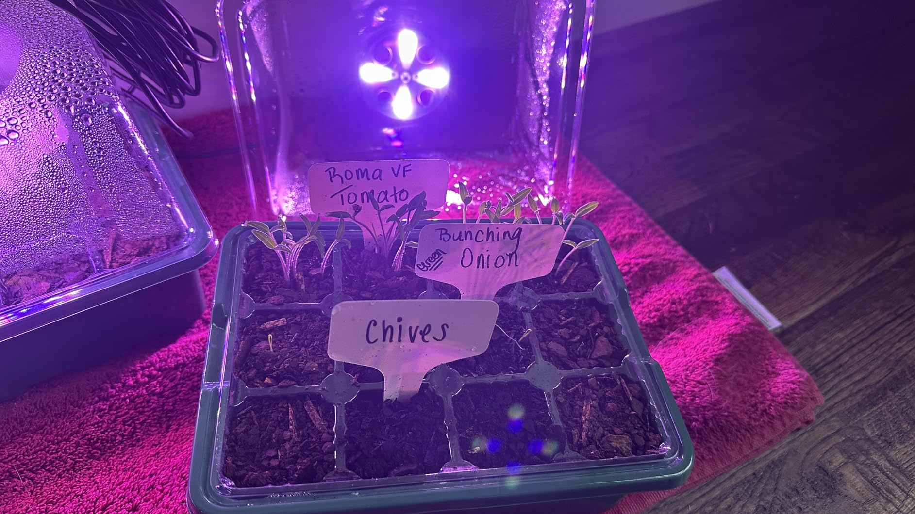 MIXC 6 Pack Seed Starter Kit with Grow Light, Vented Humidity Dome, Green customer photo 2