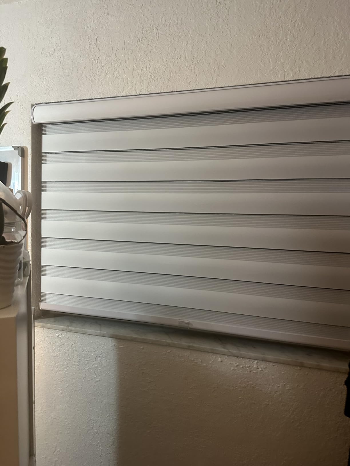 CHICOLOGY Zebra Blinds Cordless, Light Filtering, White Shade, 34.5W x 72H customer photo 1