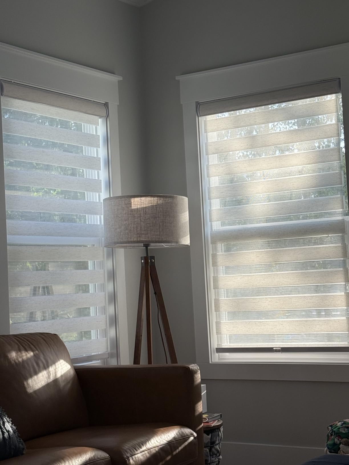 CHICOLOGY Zebra Blinds Cordless, Light Filtering, White Shade, 34.5W x 72H customer photo 2