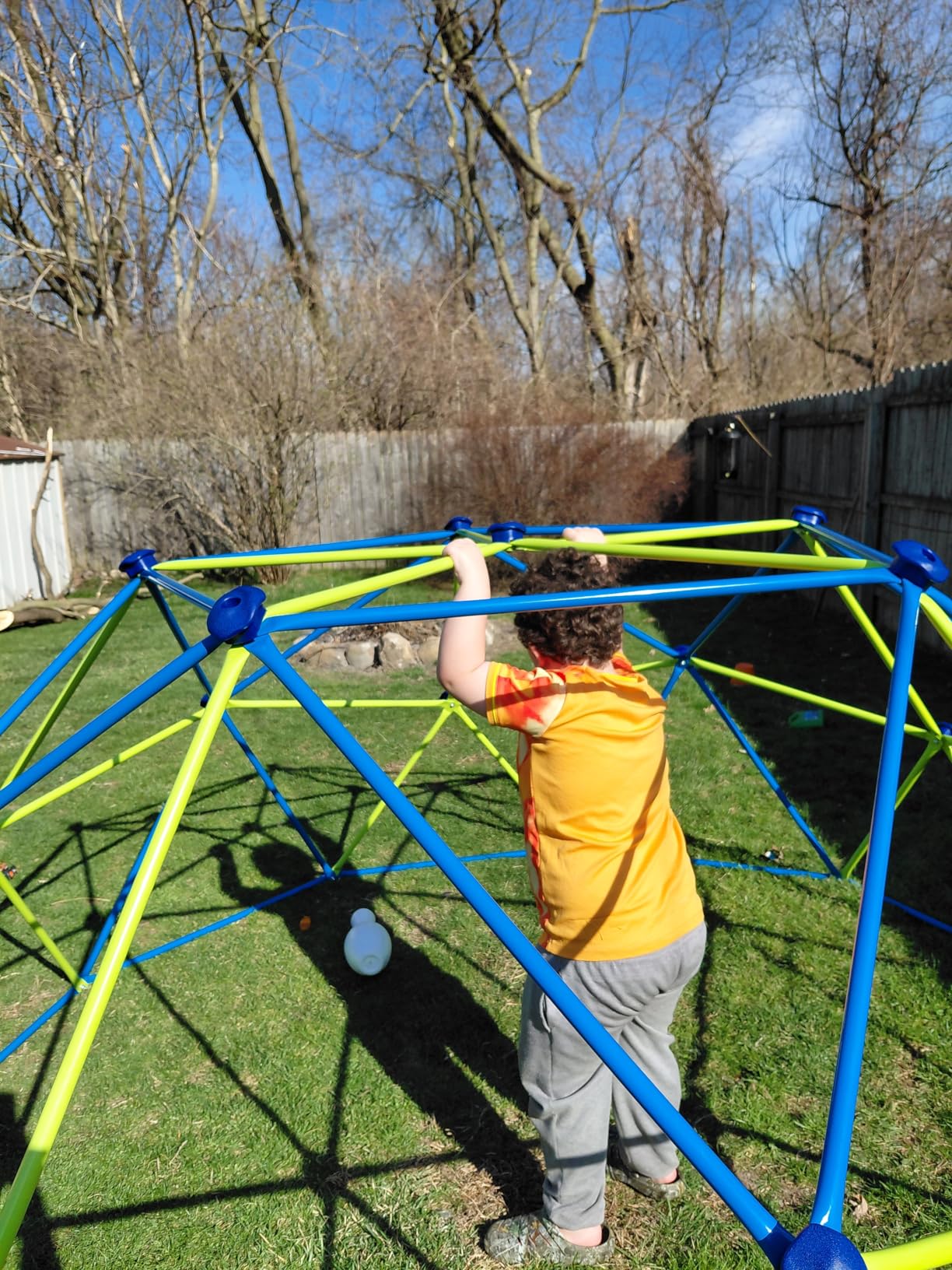 Amictoy Climbing Dome with Hammock and Swing, 10FT Backyard Jungle Gym customer photo 1