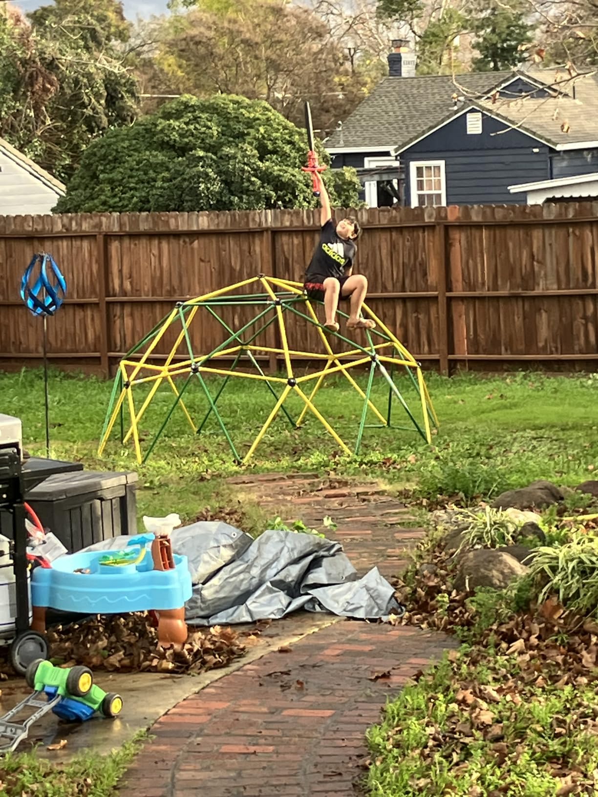 Amictoy Climbing Dome with Hammock and Swing, 10FT Backyard Jungle Gym customer photo 2