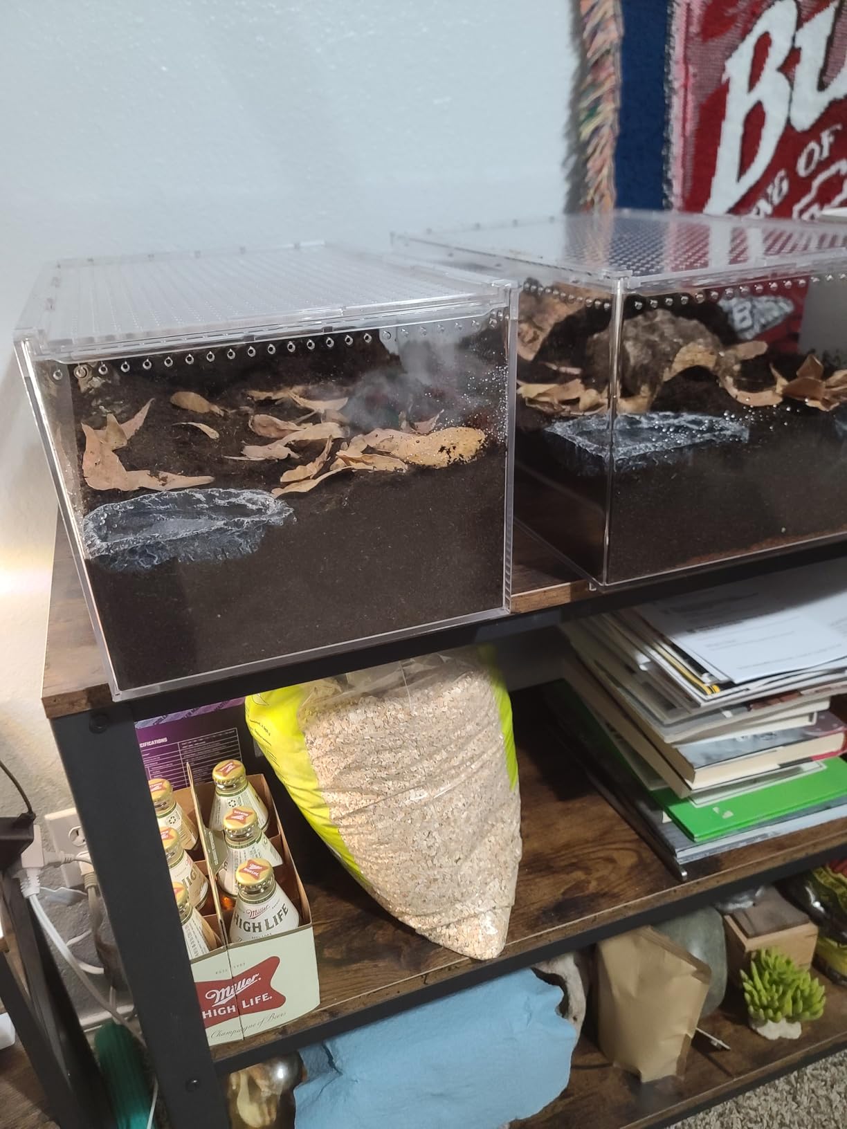 AZV Escape Proof Tarantula Enclosure,Polycarbonate Hermit Crabs Tank Large customer photo 1