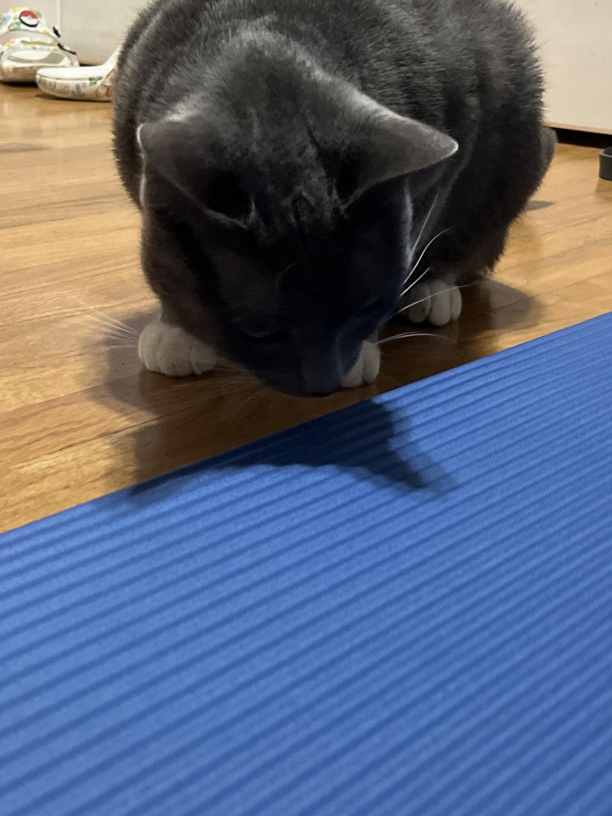 Amazon Basics Extra Thick Exercise Yoga Mat with Carrying Strap customer photo 2