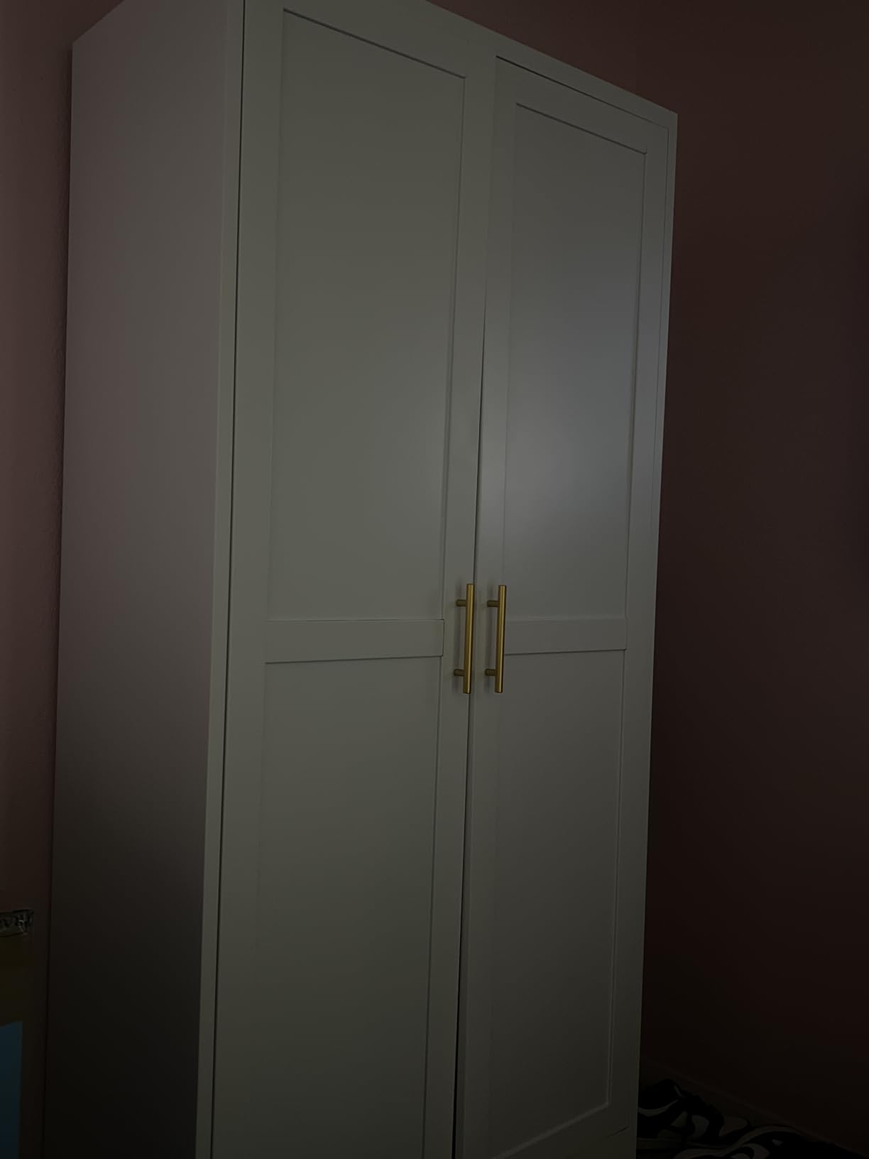 Metal Armoire Wardrobe Closet Storage Cabinet with Hanging Rod customer photo 2