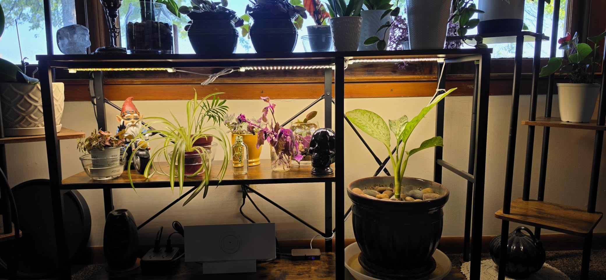FECiDA High Output Flat Panel Grow Lights for Indoor Plants & Shelves customer photo 2