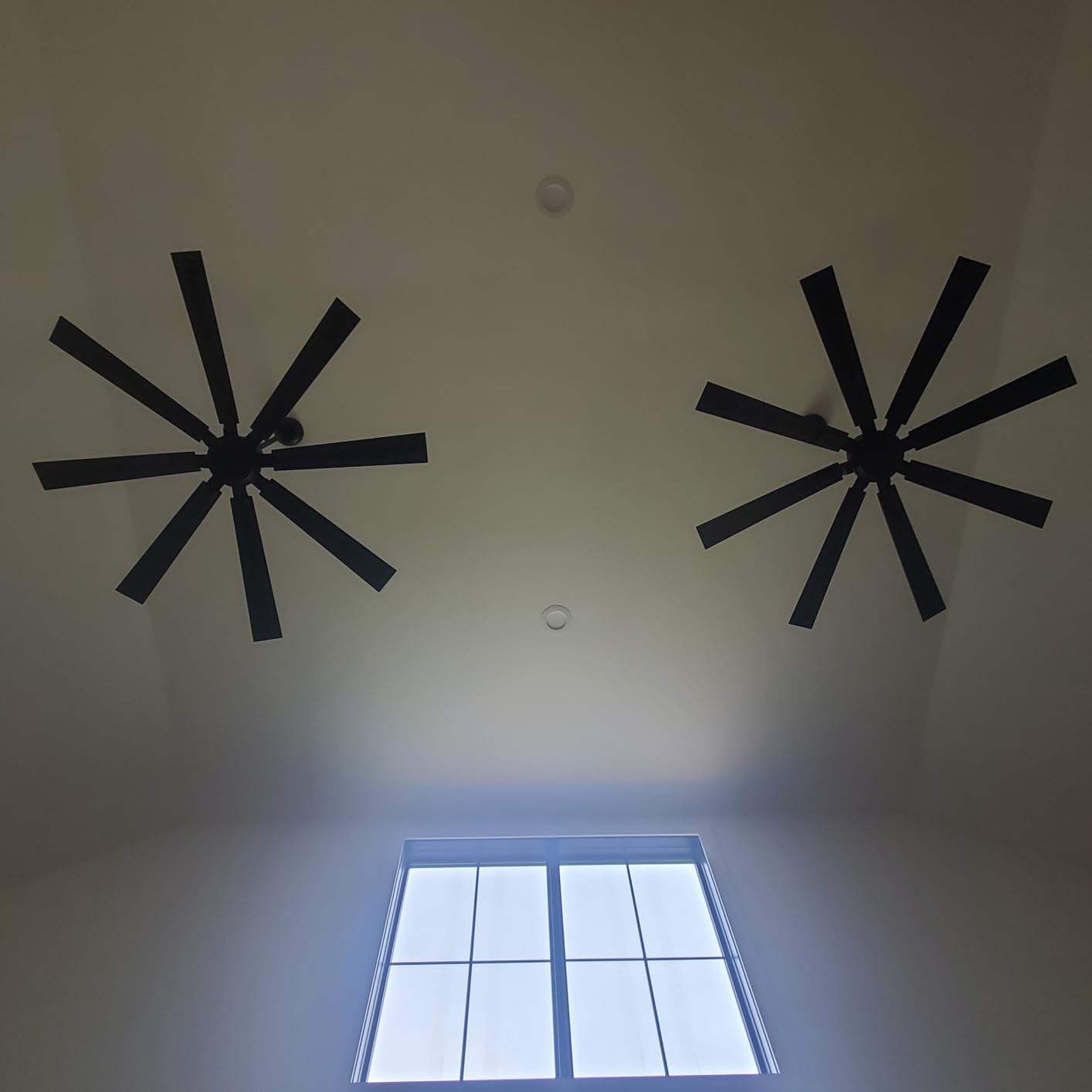 ZMISHIBO 65 Inch Ceiling Fan no Light with Remote, 6-Speed customer photo 1