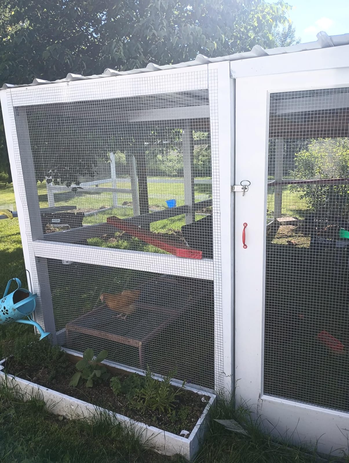 SEBOSS Hardware Cloth 1/2 inch Chicken Wire Fencing 48 x 100 Ft 19-Gauge customer photo 1