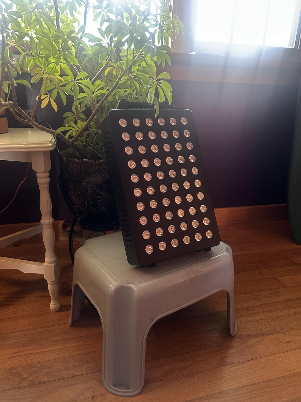 BONTANNY Red Light Therapy, 630/660/810/830/850nm 5 Wavelengths Red Near Infrared Light Device with 60 Dual Chip Clinical Grade LEDs, Remote Control, Timer for Face, Body, Pain Relief, BO-300 (White) customer photo 2
