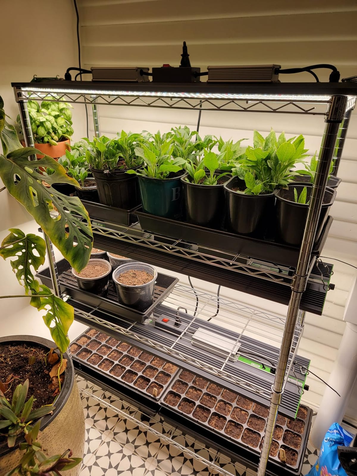 70 Watt Grow Light, Dimmable Plant Light, LED Grow Lights for Indoor Plants customer photo 2