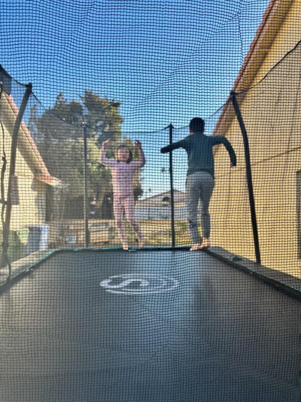 Skywalker Signature Series Trampoline with Enclosure customer photo 2
