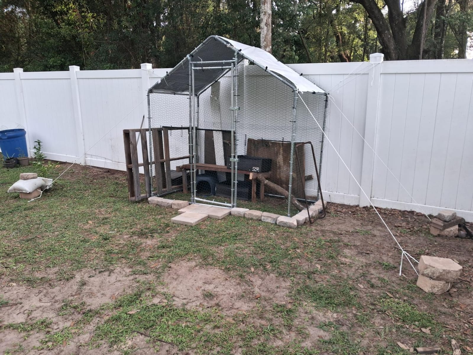 VEVOR Metal Chicken Coop, 6.56x6.56x6.56ft Large Walk-in Chicken Runs with Cover, Spire Roof Hen House Enclosure with Security Lock, Outdoor Duck Rabbit Cage Poultry Pen for Backyard, Farm, Yard customer photo 2