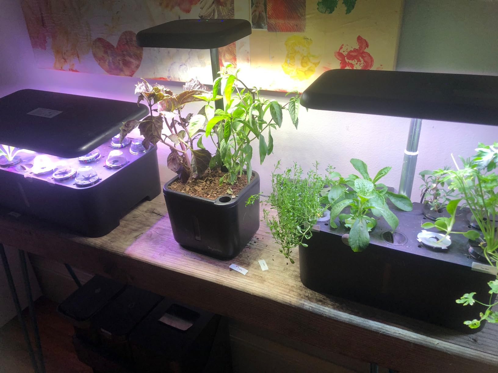 Indoor Garden System 19 Watt LED Growing Light Upgrade 2 Self-Watering Soil-Cultivated Growing Pots Gardening Gifts for Mom Plant Pot for Vegetables Herbs Tomato(No Seeds&Soil) customer photo 2