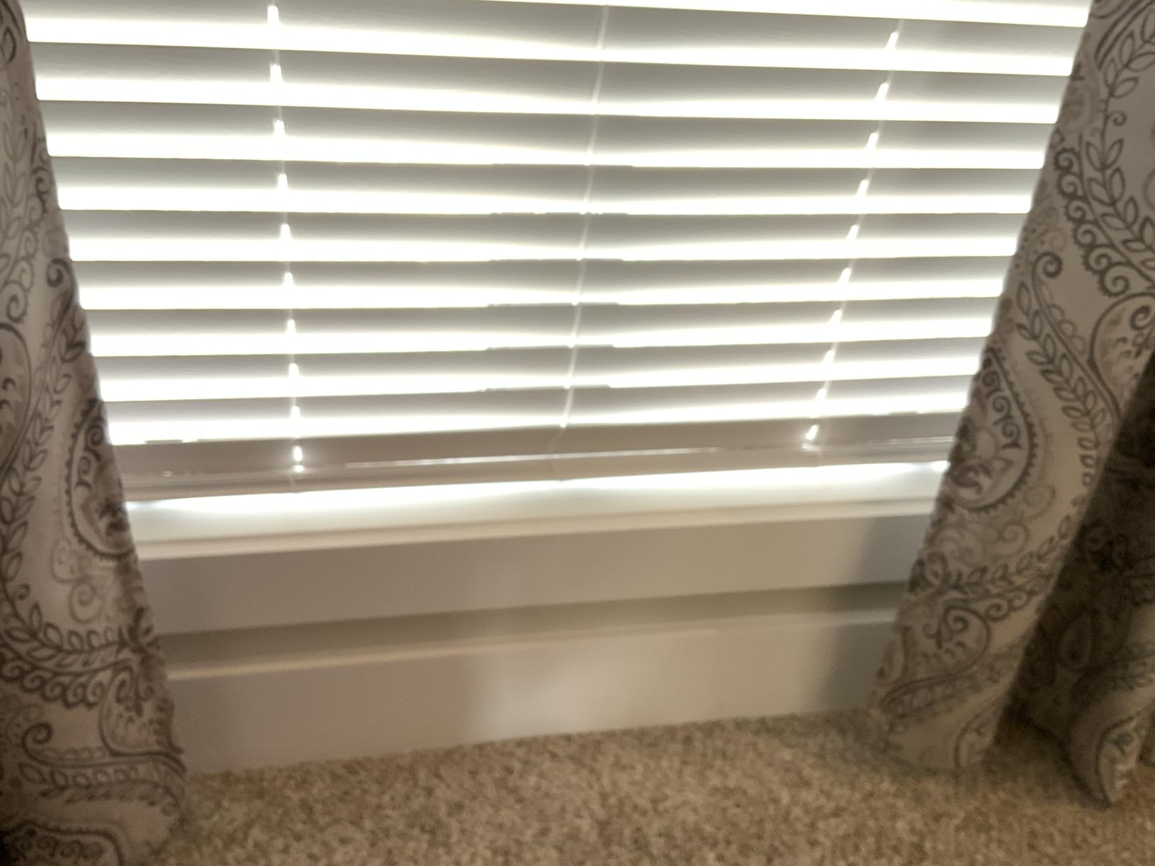 Shark Cyclone PET Handheld Vacuum, Pearl White, AA701 customer photo 1