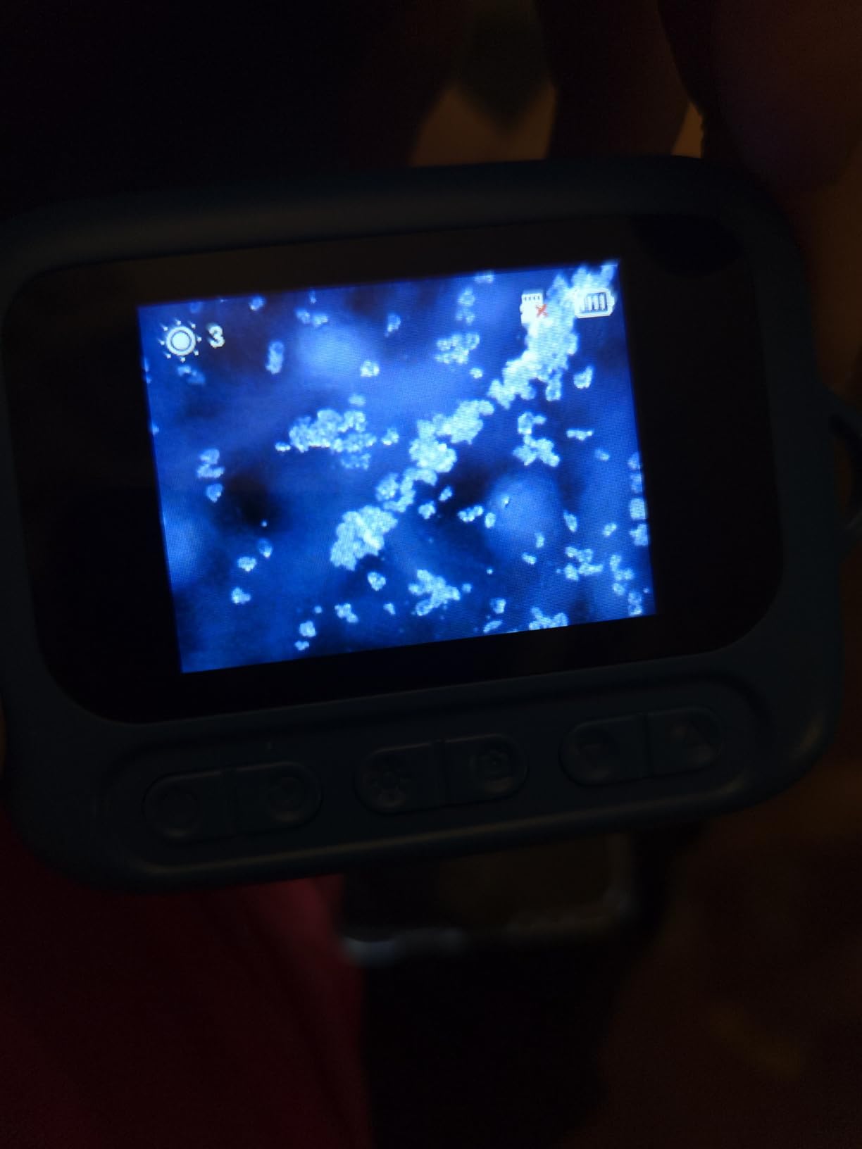 Odatay 1000X Digital Kids Microscope Kit with 12 Slides & 2