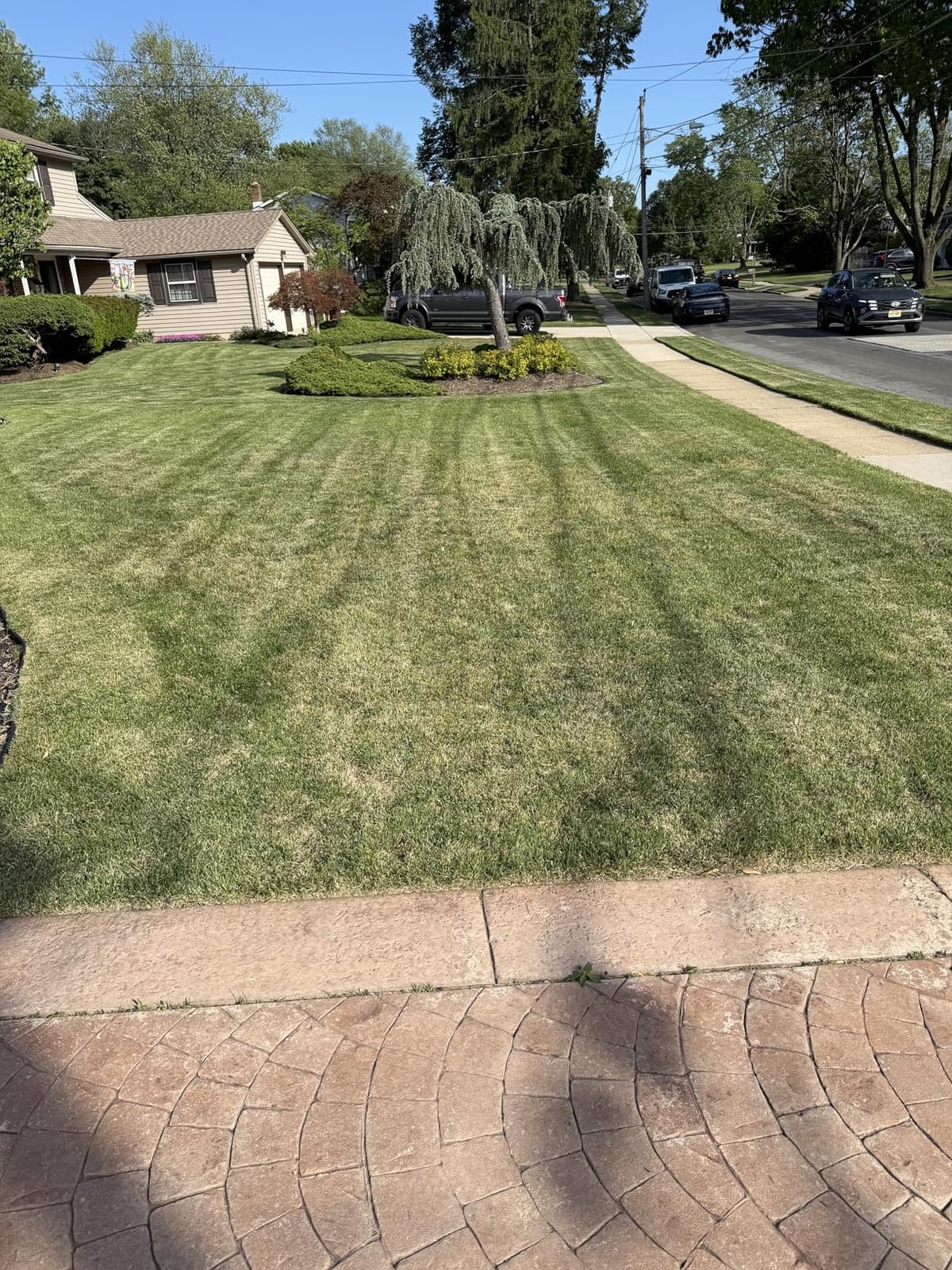 Sun Joe Corded Dethatcher & Scarifier with 13.2-Gal Bag, AJ808E customer photo 2