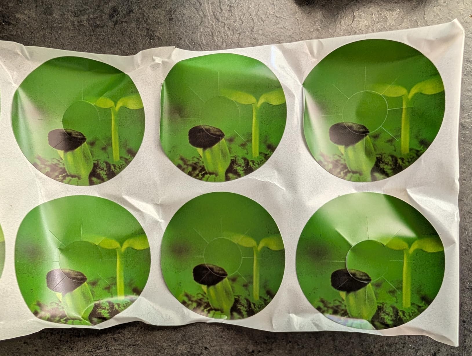 Vertical Hydroponics Growing System Kit, Indoor Outdoor Gardening System Kits, Herb & Fruits Growing Hydroponic Tower, 6 Layers (36 Pods) customer photo 2