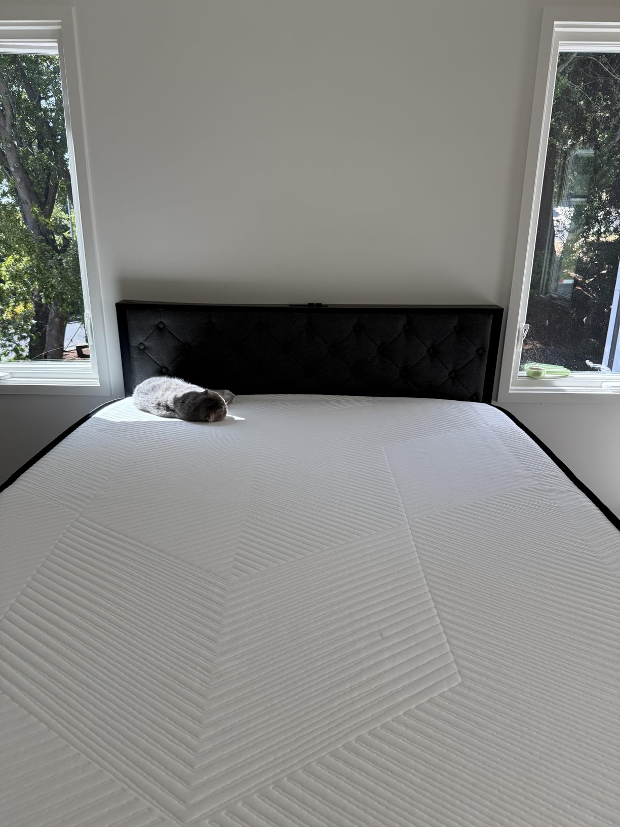 Fluest Queen Bed Frame with 2 Storage Drawers, Upholstered Headboard Button Tufted Bed Frame with Charging Station, No Box Spring Needed, Noise-Free, All Metal Structure, Black customer photo 2