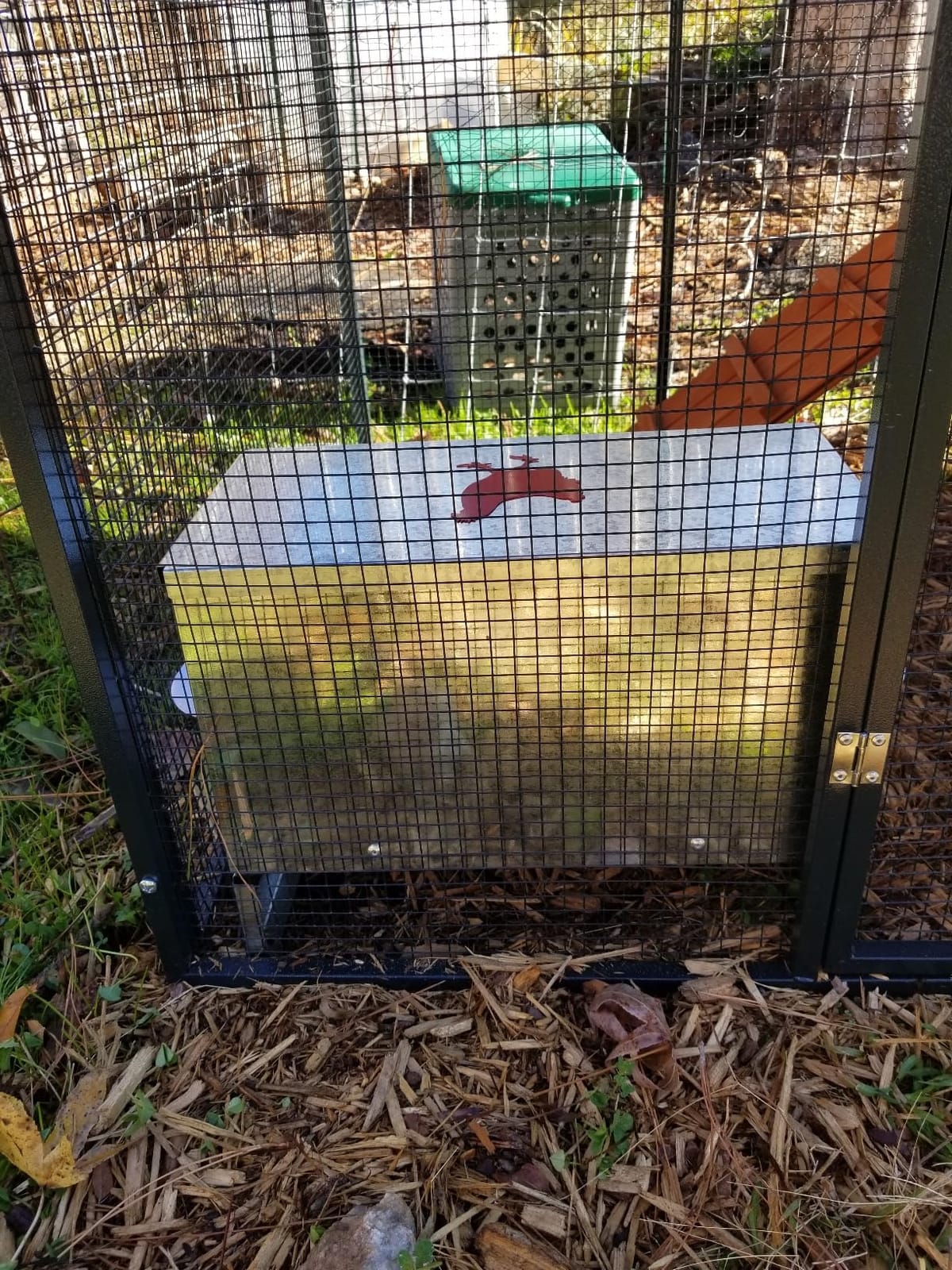 60-90lb Automatic Chicken Feeder customer photo 2