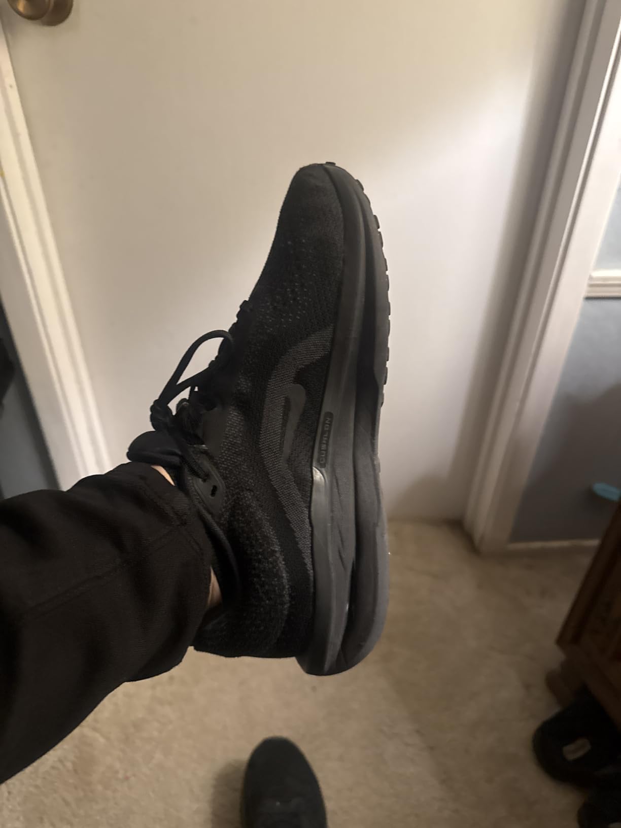 Nike Men's Winflo 11 Road Running Shoes customer photo 2