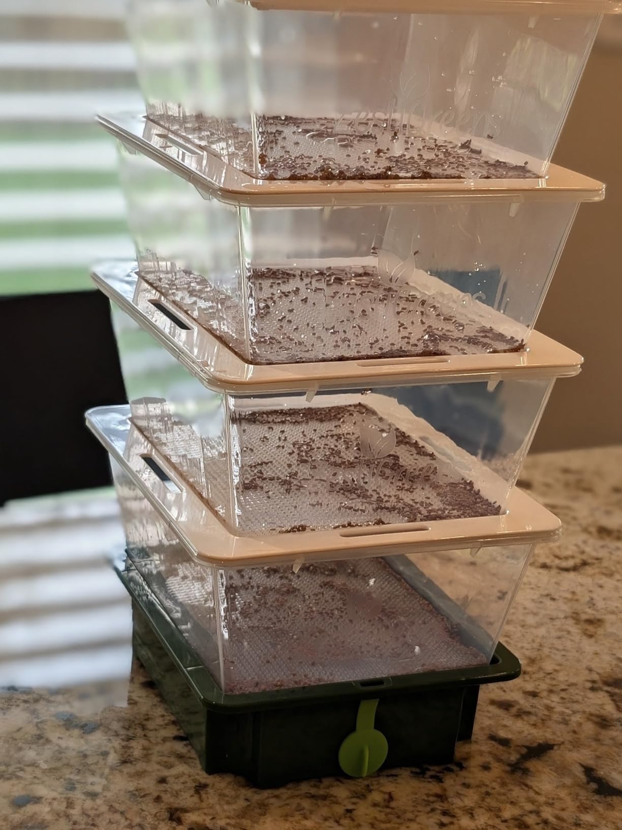 ZESTIGREENS Microgreens Growing Trays & 4-Tier Seed Sprouter Kit with Spout customer photo 1
