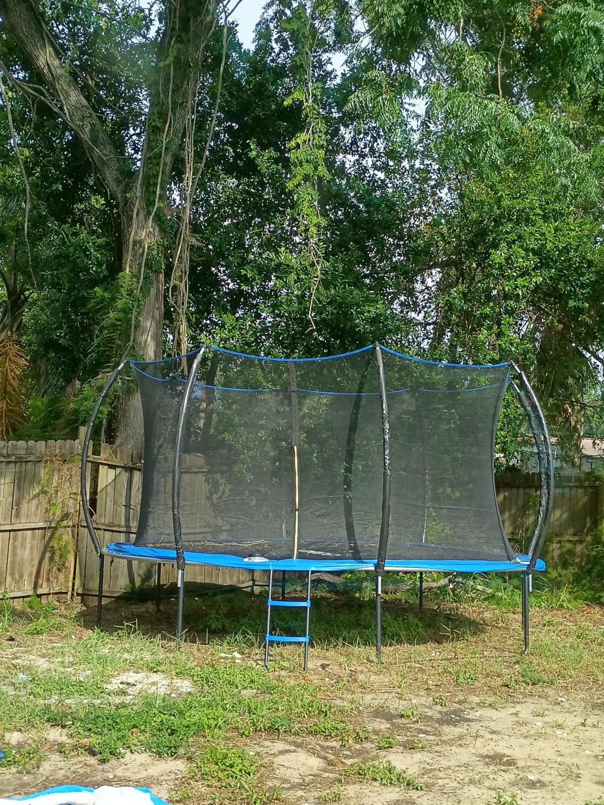 ORCC Kids Trampoline Outdoor 8FT 10FT 12FT 14FT 15FT 16FT with Enclosure, Non-Slip Ladder & Anti-Rust Coated Frame, 1200LBS Weight Capacity Recreational Backyard Large Trampoline for Kids & Adults customer photo 1