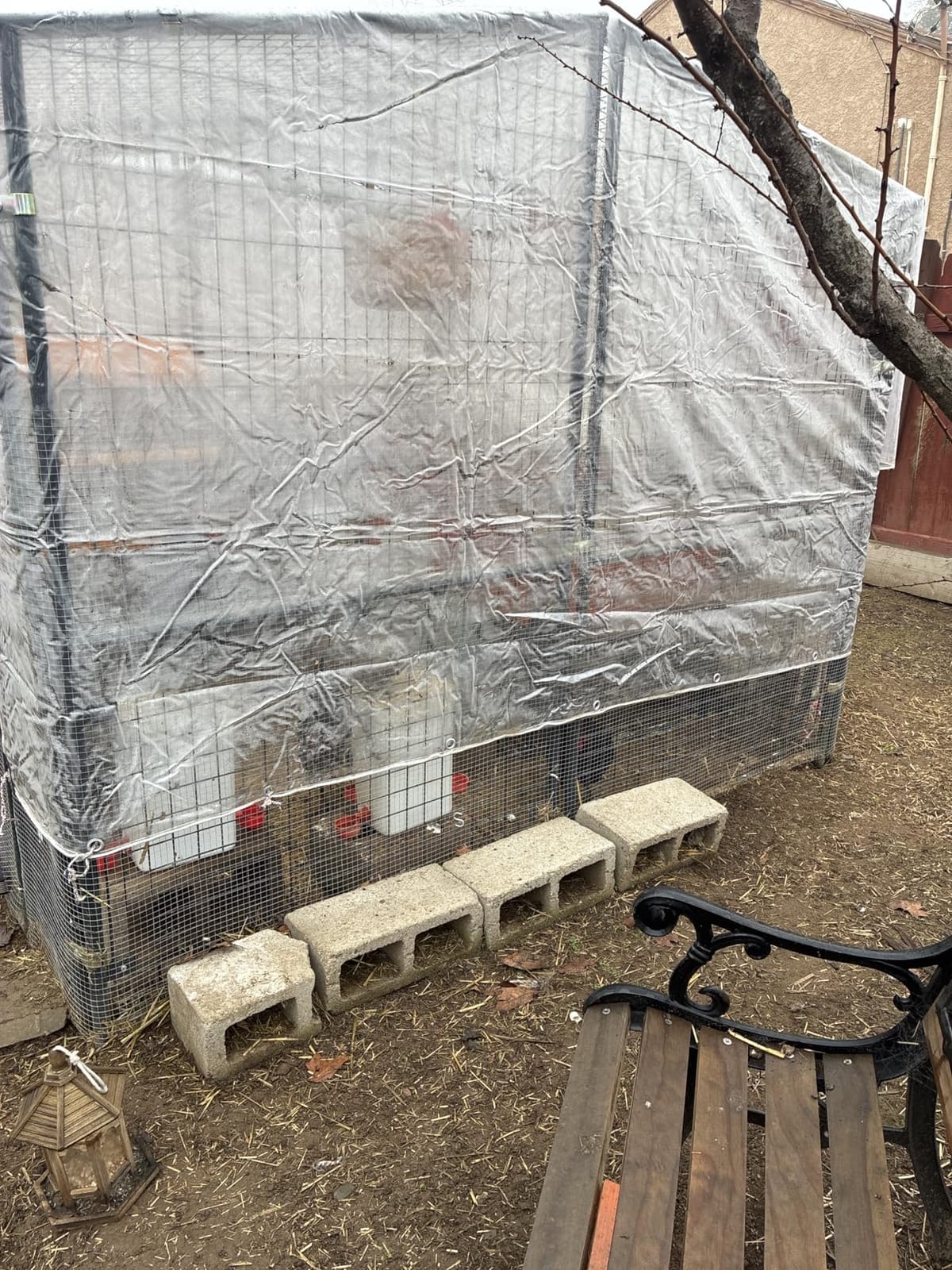 8x12ft 16Mil Thick Clear Tarp for Chicken Coop,Patio and Porch Winterizing customer photo 2