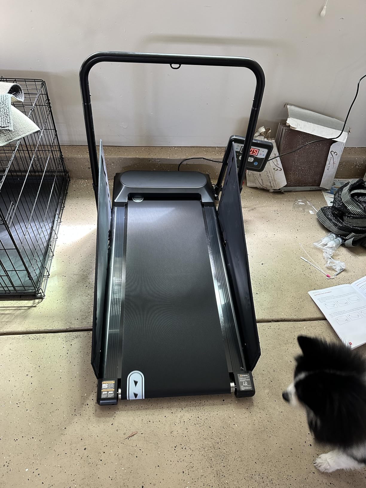 Petbobi Dog Treadmill for Small & Medium Dogs Up to 265 lbs Indoor Exercise | Quiet motor, 360° rotatable display, remote control & wheels, foldable design, fitness & weight management, easy to assemble customer photo 1