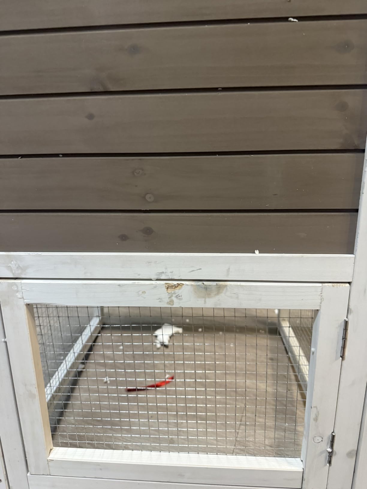 GUTINNEEN 2-Story Rabbit Hutch Indoor Bunny Cage Outdoor Guinea Pig House Wooden Small Animal Cage with Chew-Proof Ramp, Leak-Proof Tray, Lockable Wheels for 2-4 Rabbits, Guinea Pigs (Grey) customer photo 2