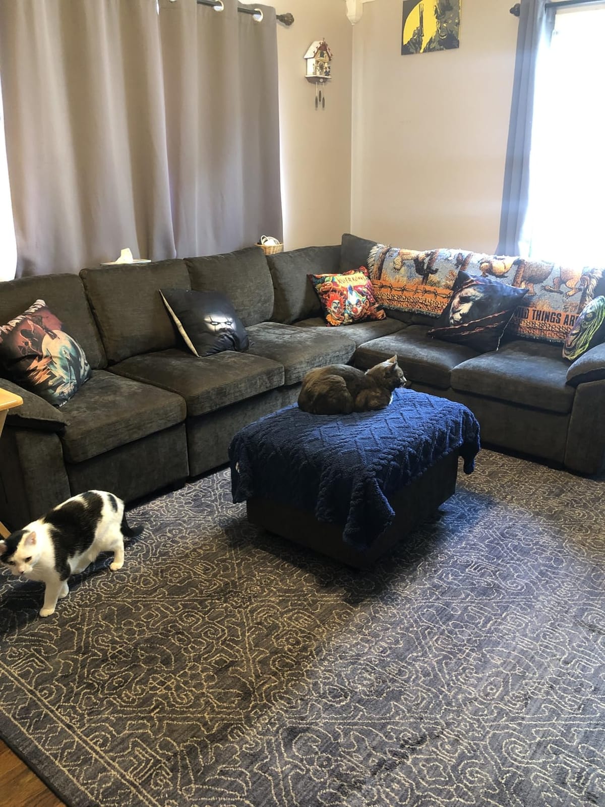 108'' Modular Sectional Sofa with Pull Out Bed, Sleeper Sofa, Dark Gray customer photo 2