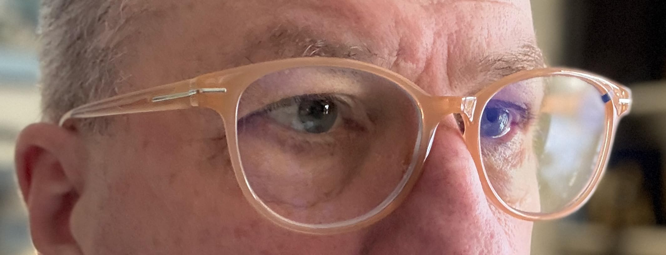 Distinctive Progressive Multifocus Reading Glasses Women, Retro Lady Anti Blue Light/Eye Fatigue Computer Reader, Vintage Round Frame No-Line Multifocal Eyeglasses (Brown&Apricot, 2.5x) customer photo 2