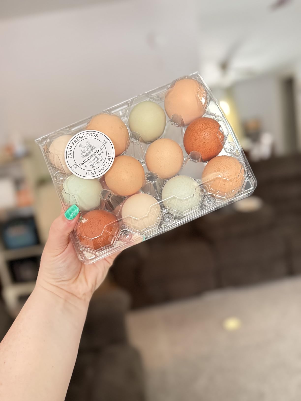 50-Pack of 12-Count Plastic Egg Cartons – Bulk Clear Reusable Egg Containers Holds Chicken Eggs | Egg Cartons Cheap Bulk, Eggs 12 Count,Suitable for farms, markets and families. customer photo 1