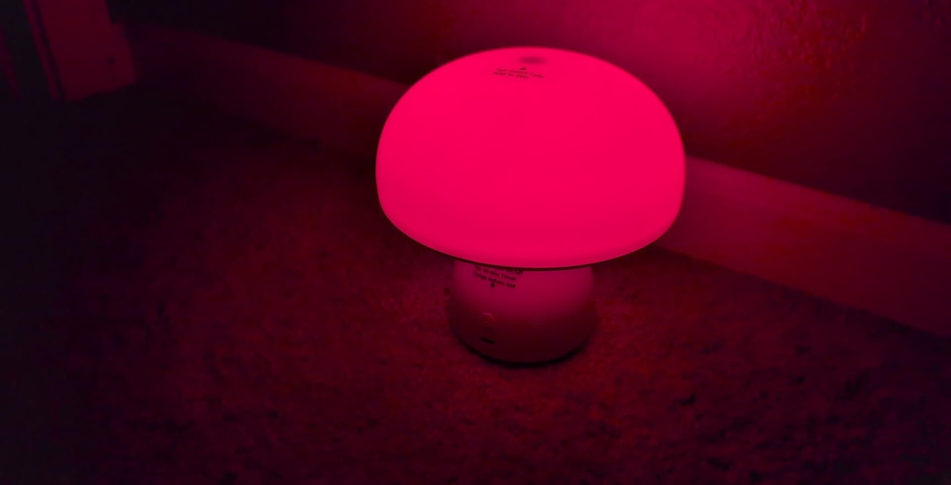 Red Light Therapy Lamp, Dimmable Red Night Light for Bedroom Sleep customer photo 2