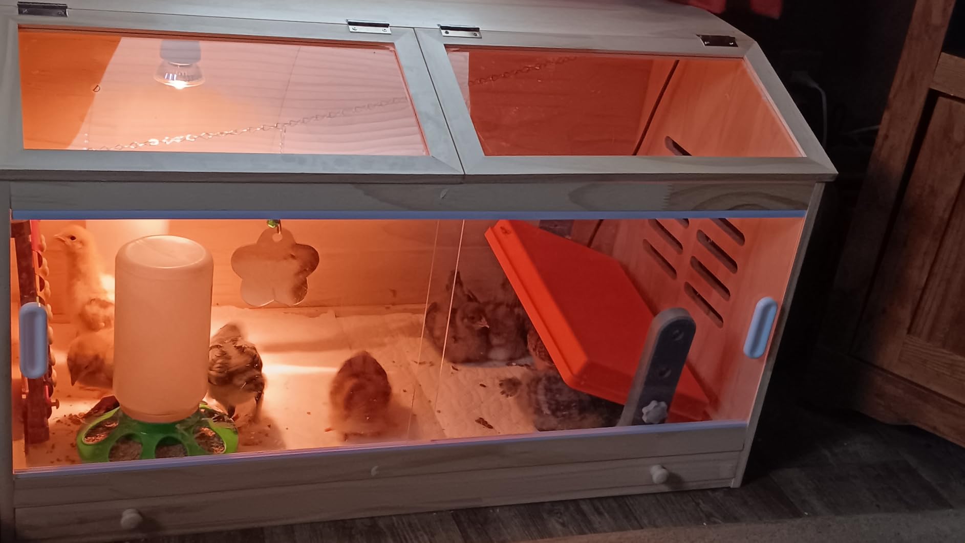 Large Wooden Chick Brooder Box with Drawers, 3 Heat Lamps and Thermostat customer photo 2