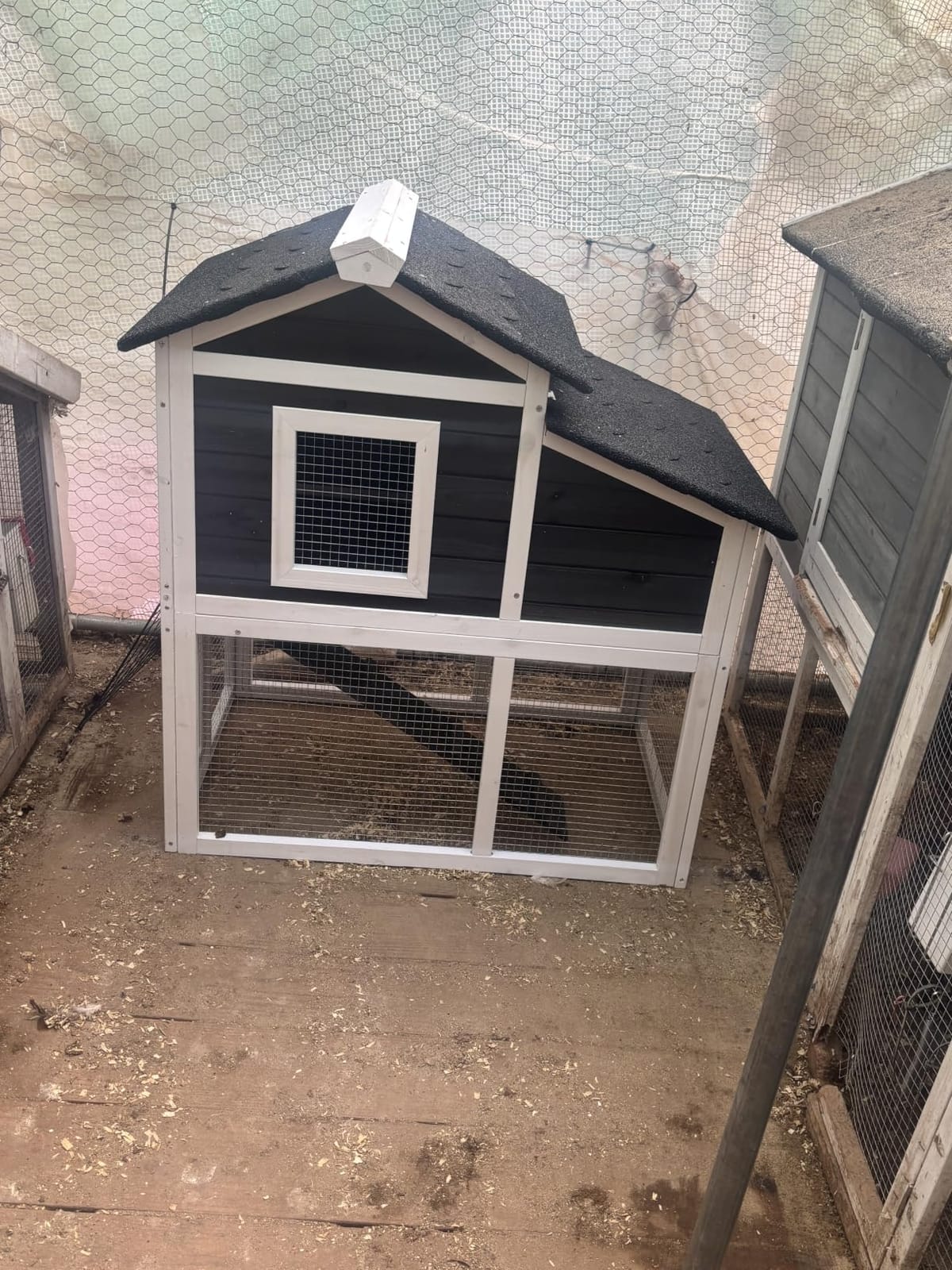 Small Outdoor Chicken Run Coop for Hens, Ducks, Quails & Chicks customer photo 1