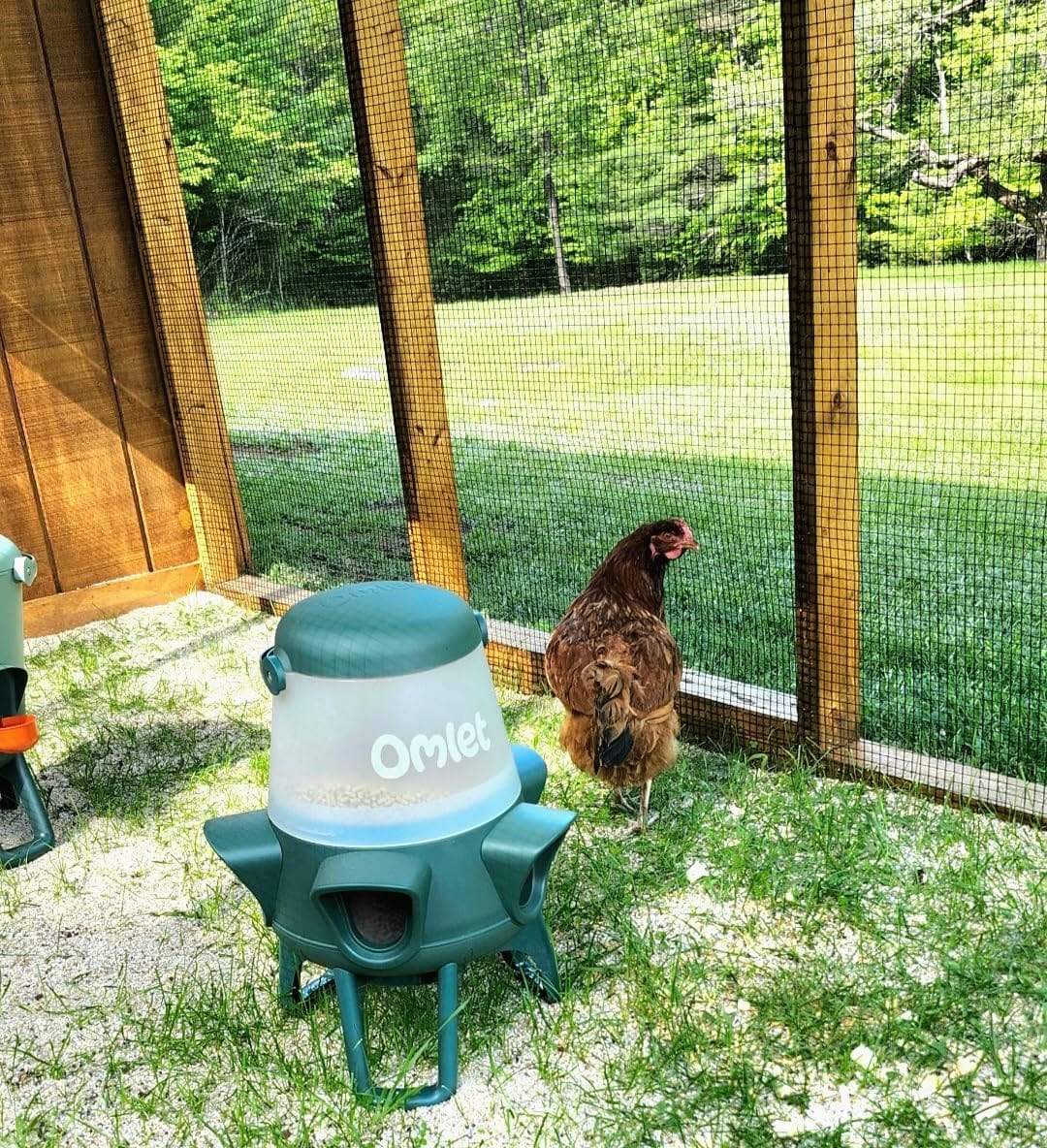 Omlet No Waste Chicken Feeder for Coop | 12lb Anti-Spill Poultry Feeder with 5 Feeding Ports | Feeds 6 Hens for 7 Days | Hanging or Free Standing | Weatherproof customer photo 1