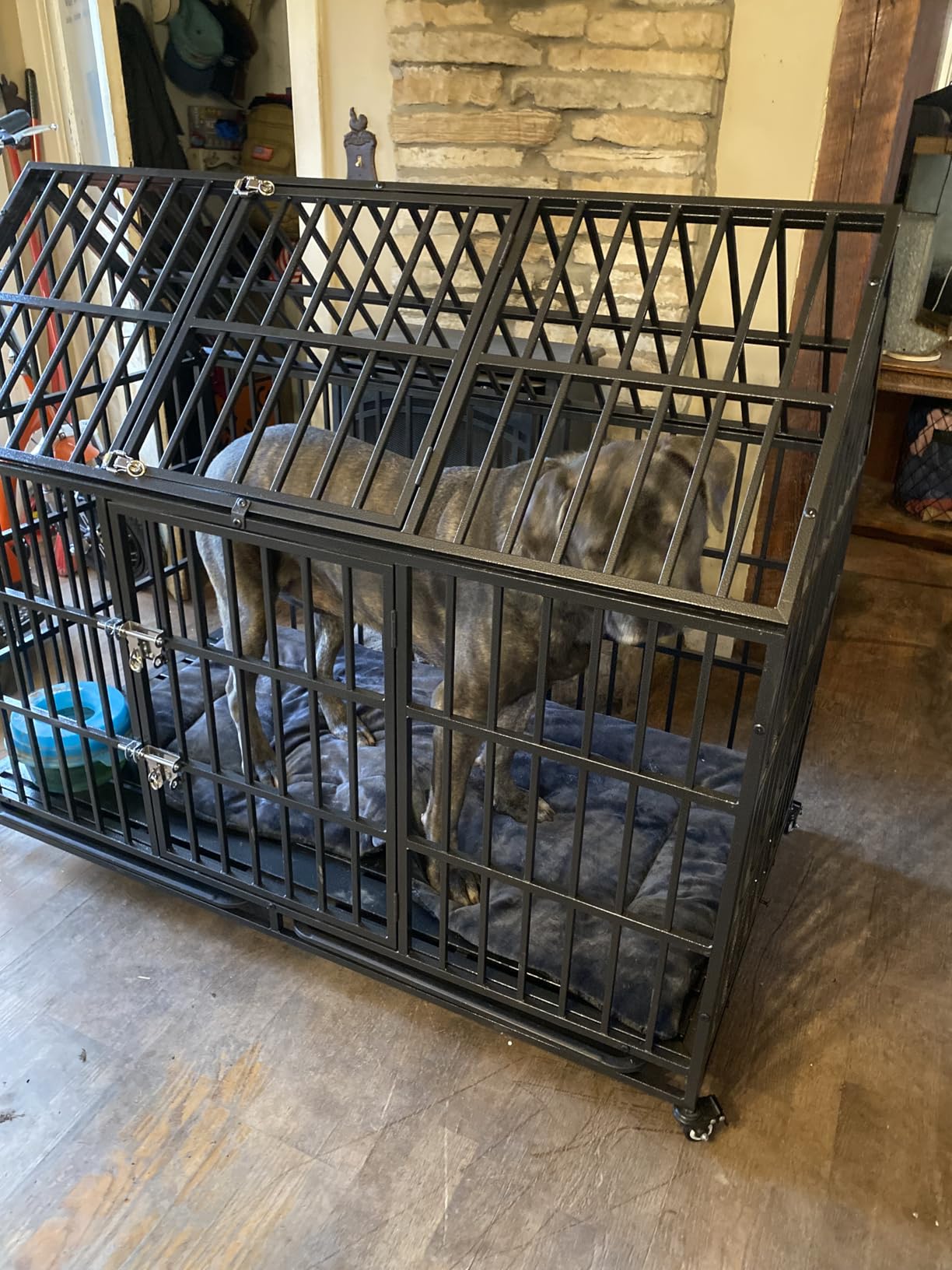 64 Inch Heavy Duty Dog Crate Indestructible Dog High Anxiety Kennel Cage with Double Doors for Extra Large Giant Breeds customer photo 2