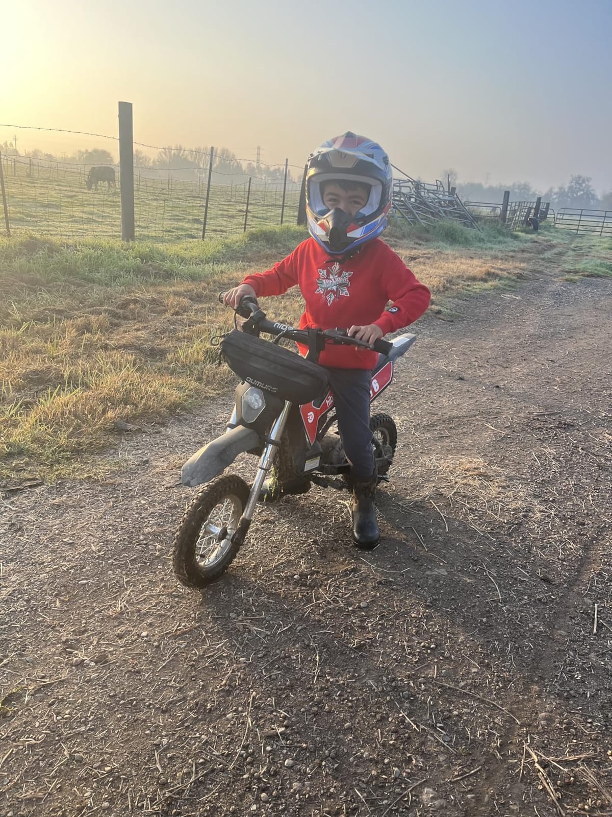 Kids Dirt Bike Helmets Youth ATV Helmet, Kids Motocross Helmet DOT Approved customer photo 2