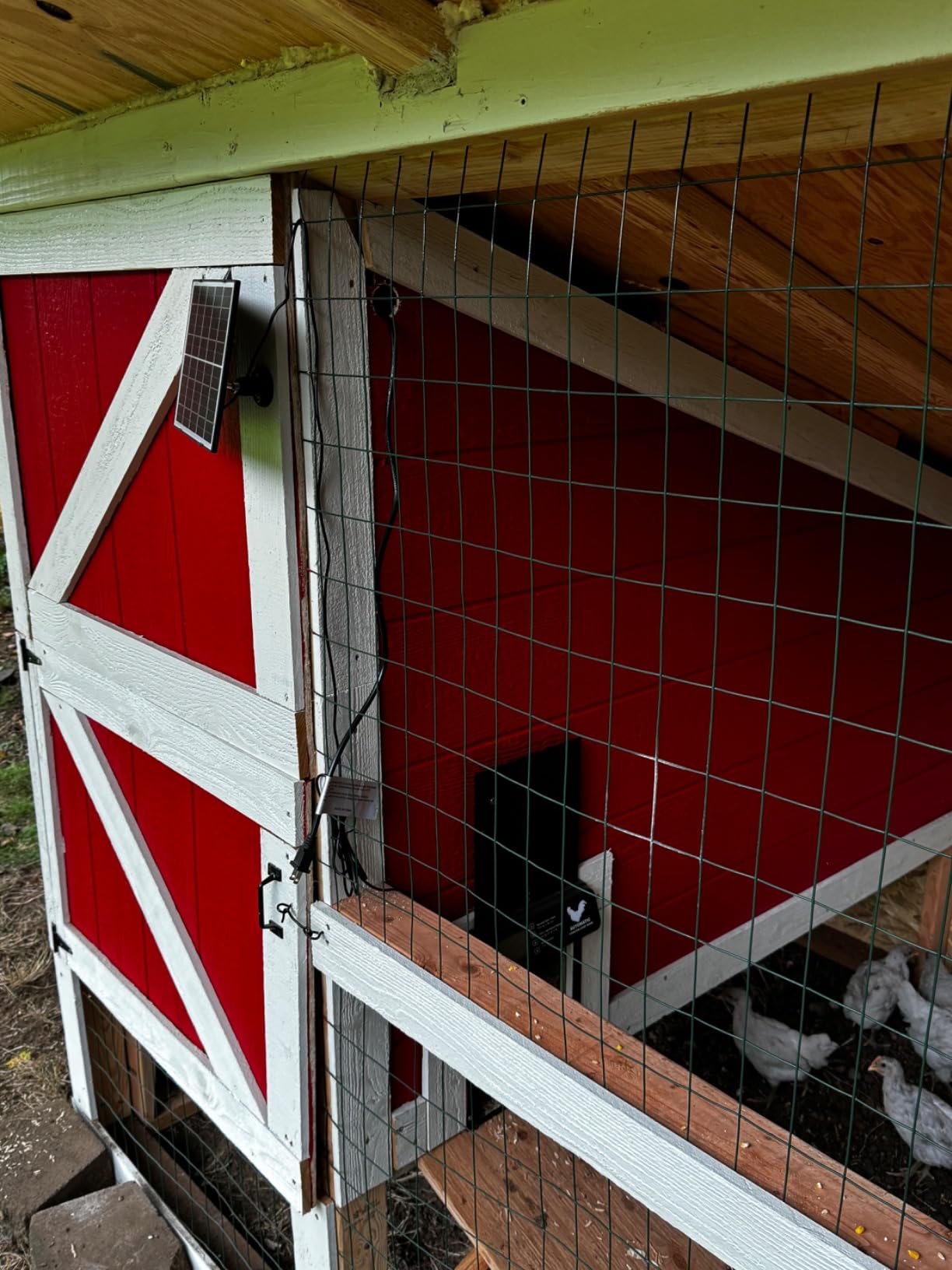 INNOLAND Large Size Automatic Chicken Coop Door - Reinforced Gear Drive customer photo 2