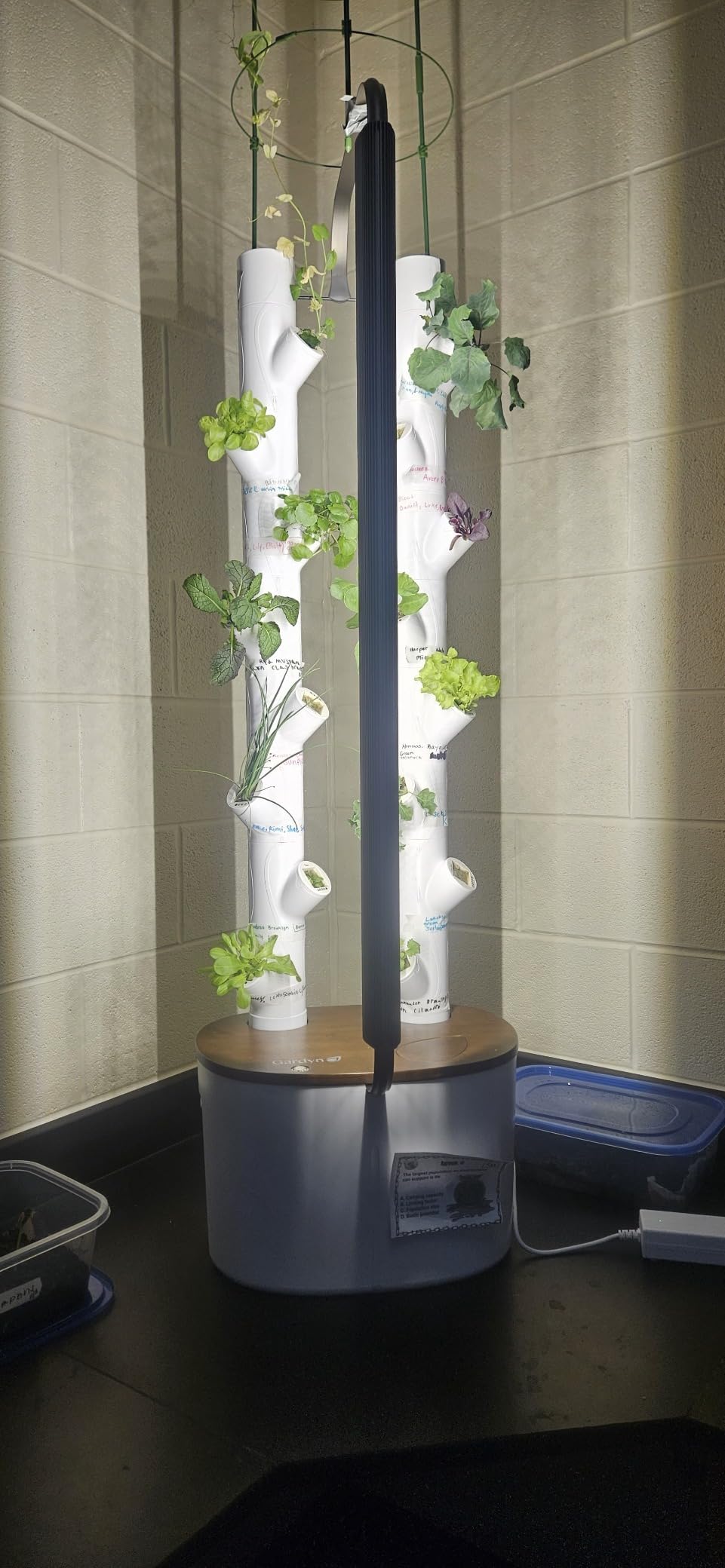 Gardyn Studio 2 Hydroponics Growing System - 16 Plants, Smart Tower customer photo 2