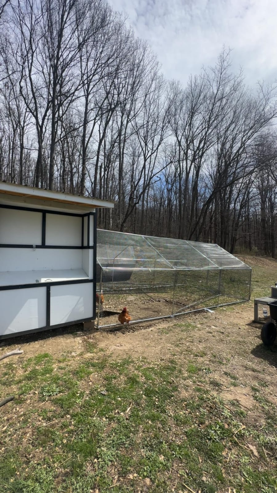 CAMMOO Walk in Chicken Coop, 13.1x9.8x6.6ft Chicken Run for Yard with Cover customer photo 1