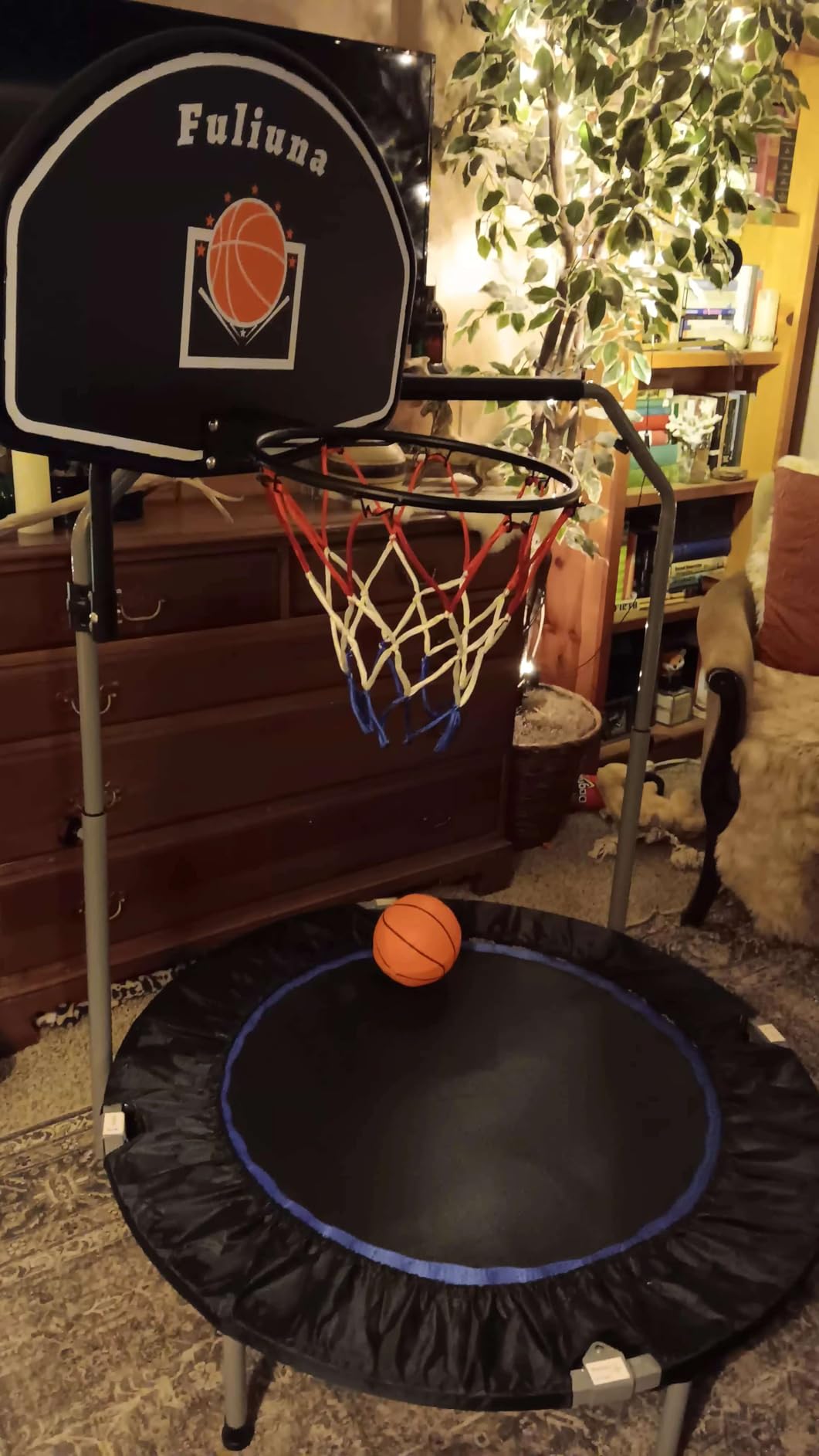Trampoline Basketball Hoop, Easy to Install Basketball Hoop for Trampoline with Mini Ball and Pump, Basketballs Hoop with Protective Net Fit for 25mm Straight Pole and Curved Pole Trampolines customer photo 2