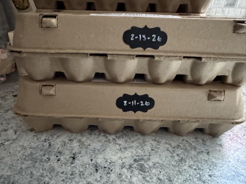 25-Pack Empty Egg Cartons 12 Count,Natural Paper Pulp Egg Cartons Bulk for Fresh Eggs Storage,Reusable Cardboard Eggs Holder for Farm, Kitchen, Organizing & Transport customer photo 2