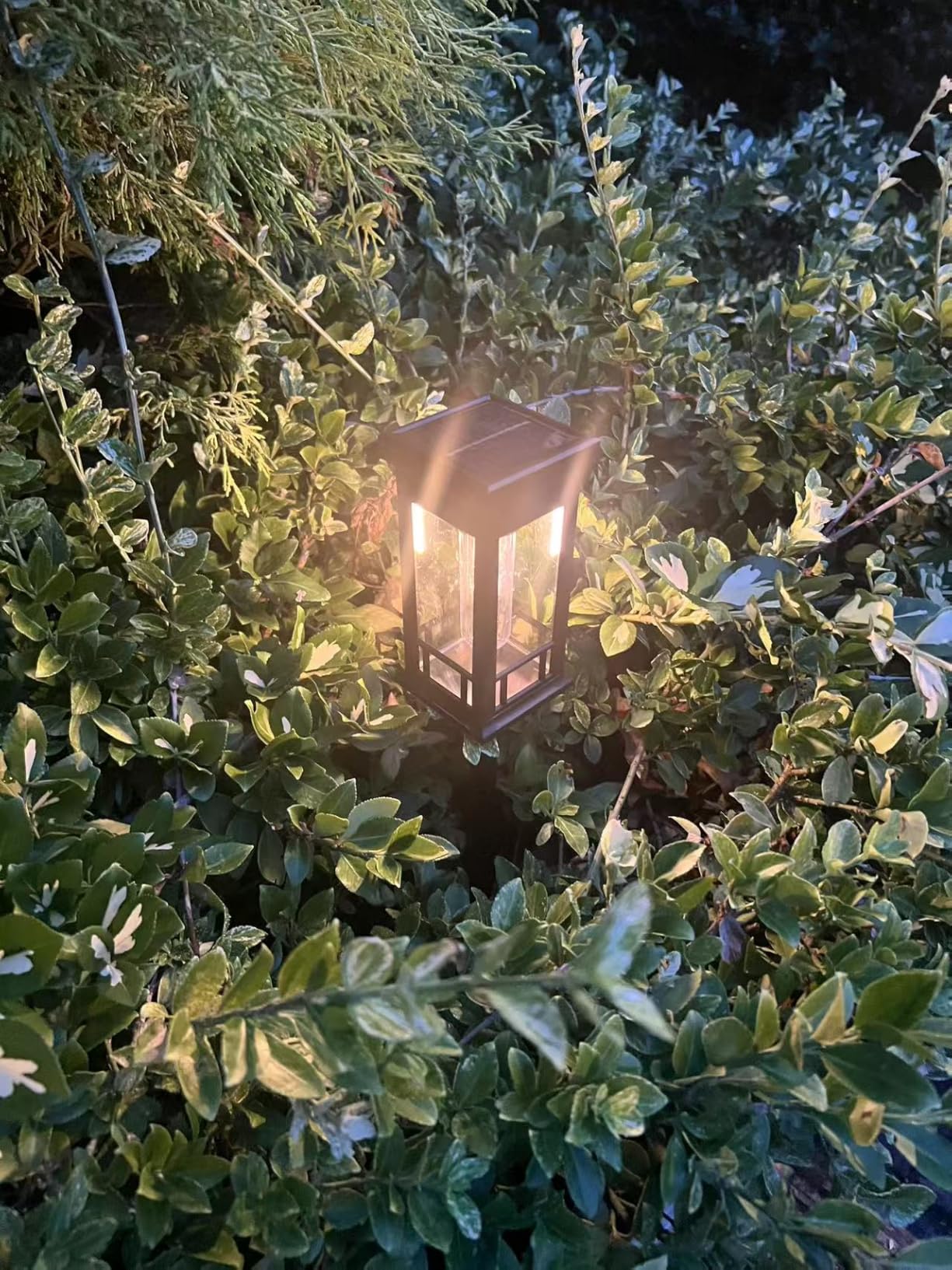 12 Pack Solar Pathway Lights Outdoor Waterproof, Bright Solar Garden Lights customer photo 1